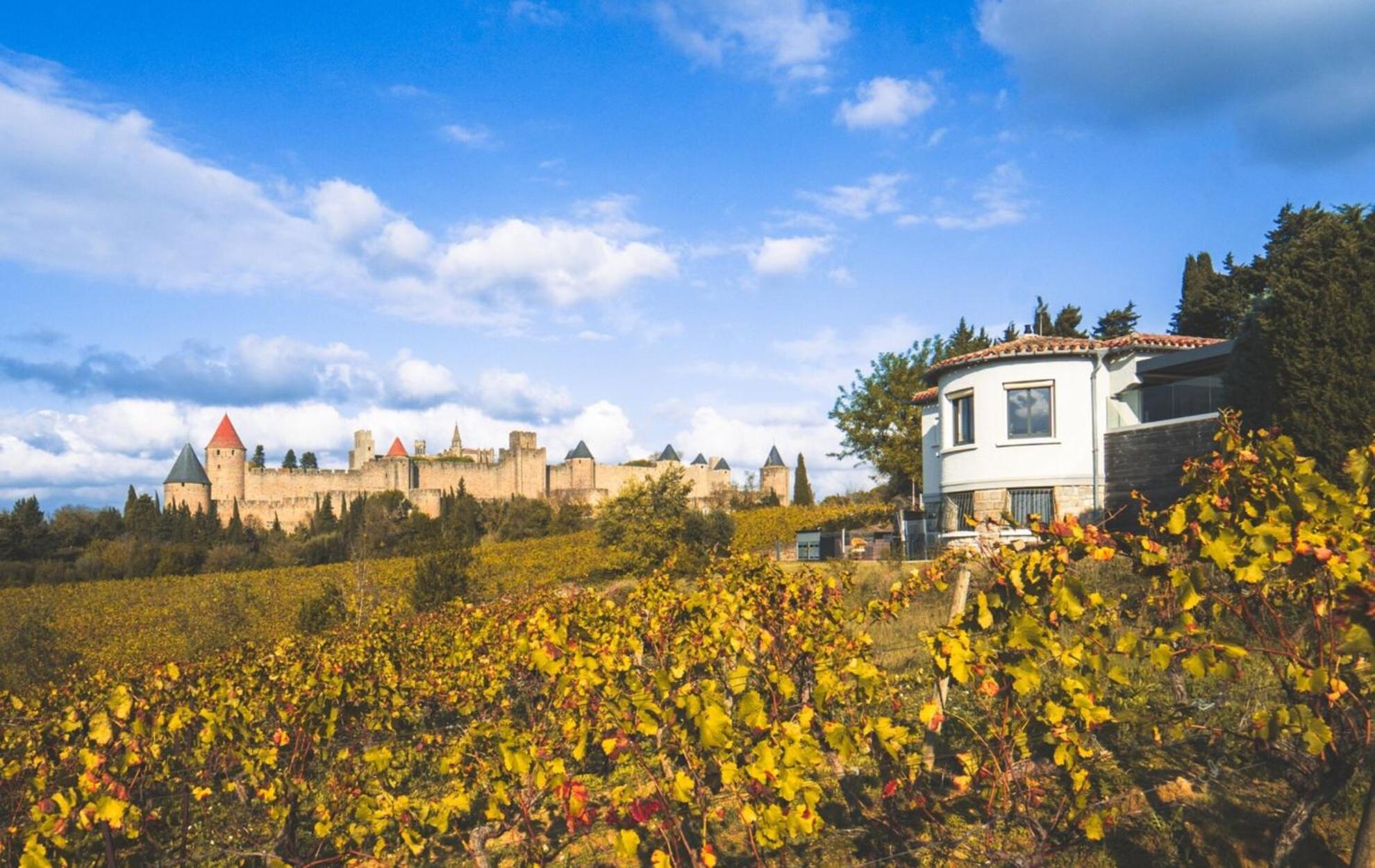 L'Ecrin De La Cite, Coeur De Vignes - Vivez Une Experience Inoubliable ! Carcassone Exterior photo